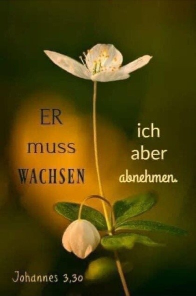 Titelbild